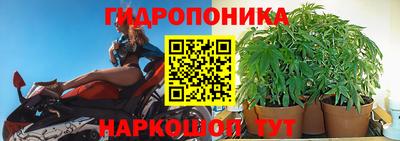 метадон Тула