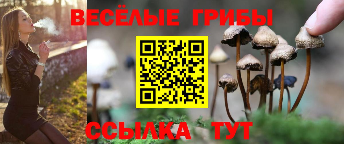 Галлюциногенные грибы прущие грибы  Галлюциногенные грибы GOLDEN TEACHER  Вход с VPN  Чита 